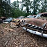 A row of cars on Iron Mountain. Photo by Caean Couto