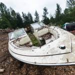 An old boat finds its new purpose as a plant pot. Many of the vehicles have sprouted plant life from within. Photo by Caean Couto