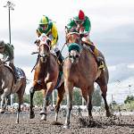 Courtesy photo Emerald Downs                                Diamonds R and Leonel Camacho-Flores score a $28.20 upset in the $50,000 Irish Day Stakes for 3-year-old fillies at Emerald Downs on Sunday.