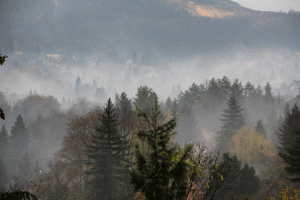 Prepare now for wildfire smoke, unhealthy air quality