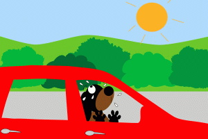Hot cars are no place for pets