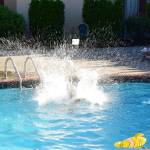 Photos courtesy of Gary Palmer.