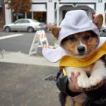 Puppy Sadie in her banana costume for the Doggy Costume Contest
