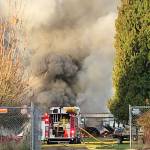 Seven horses perish in Kent barn fire