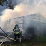 Seven horses perish in Kent barn fire