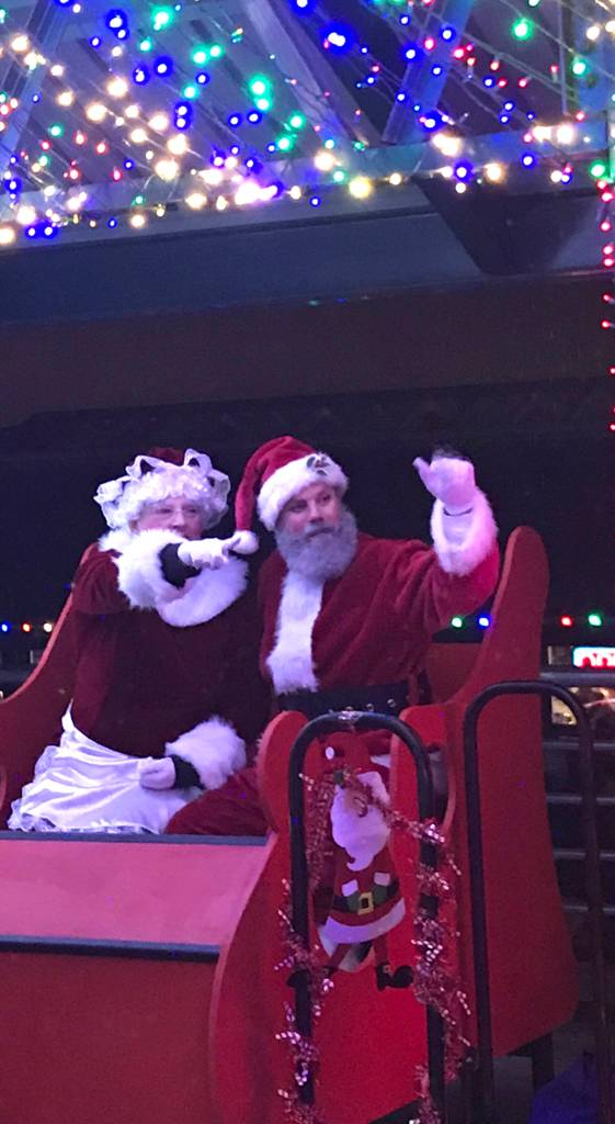 Gallery: Holiday cheer lights up the park