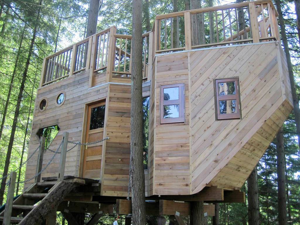 The transformation of a treehouse