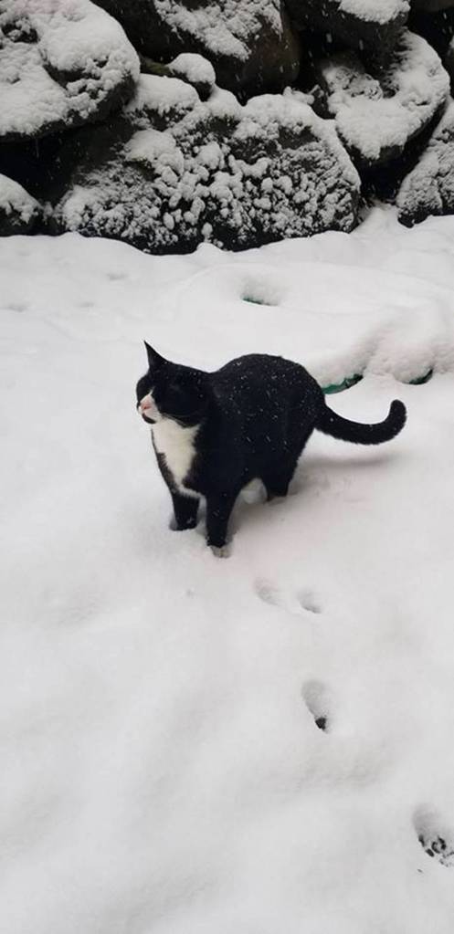 Submitted photo by Alison Redman