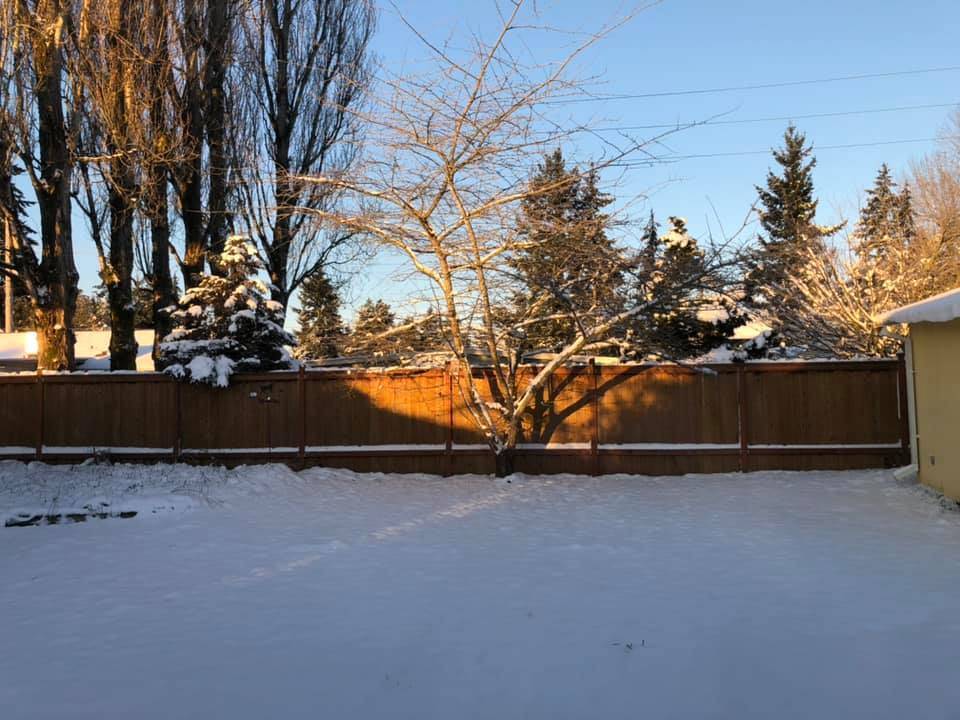 Submitted photo by Amy Chirillo