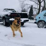 Photo gallery: Renton readers’ snow day