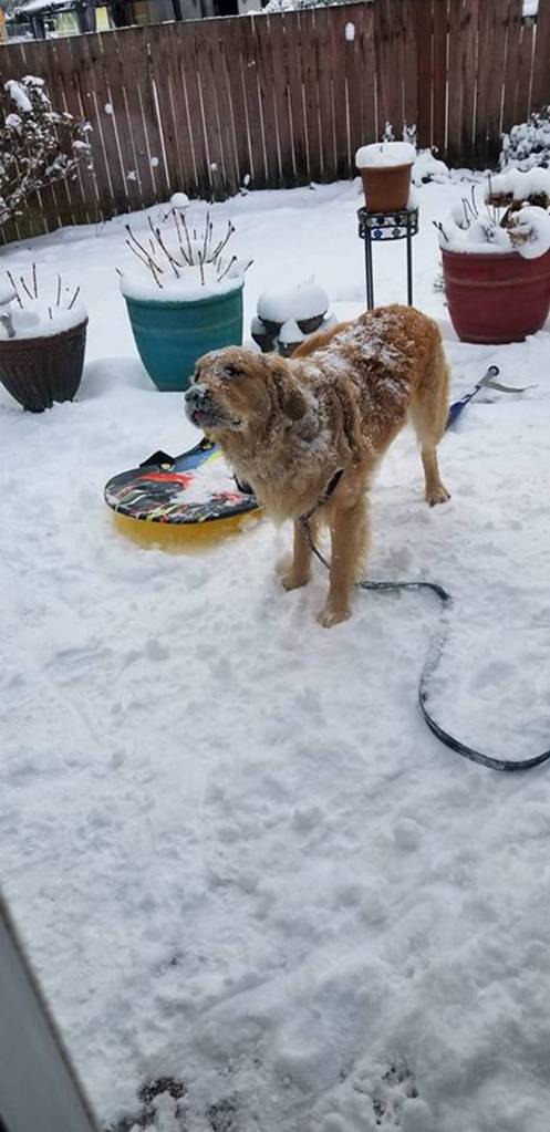 Submitted photo by Danielle Kendrick Foliart