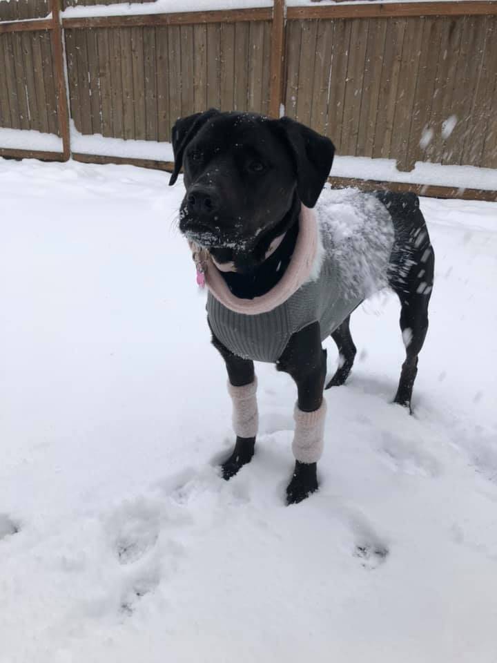 Submitted photo by Emerald Robles Magbaleta