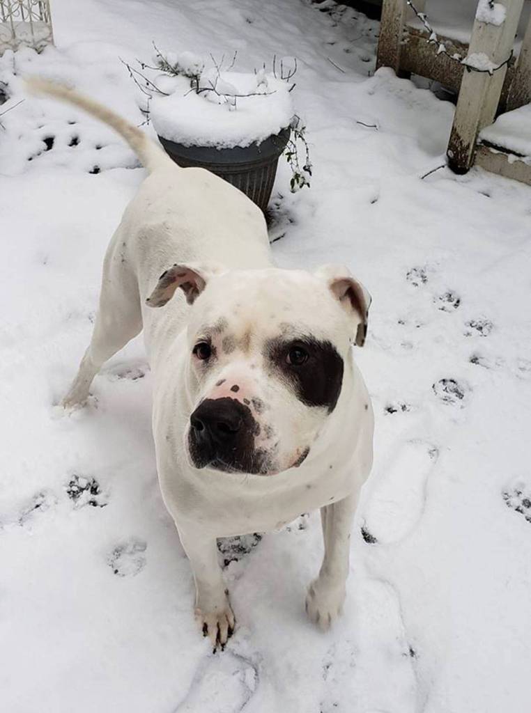 Submitted photo by Lauren Deacon