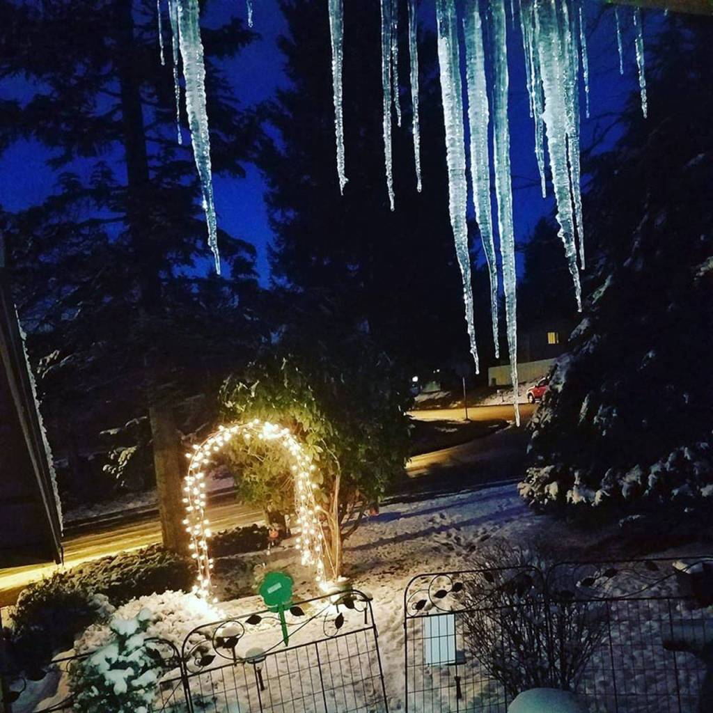 Submitted photo by Lee Knoles Smith