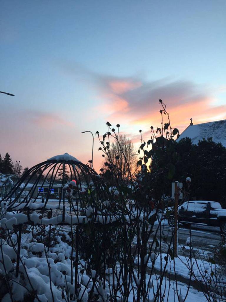 Submitted photo by PJ Bean