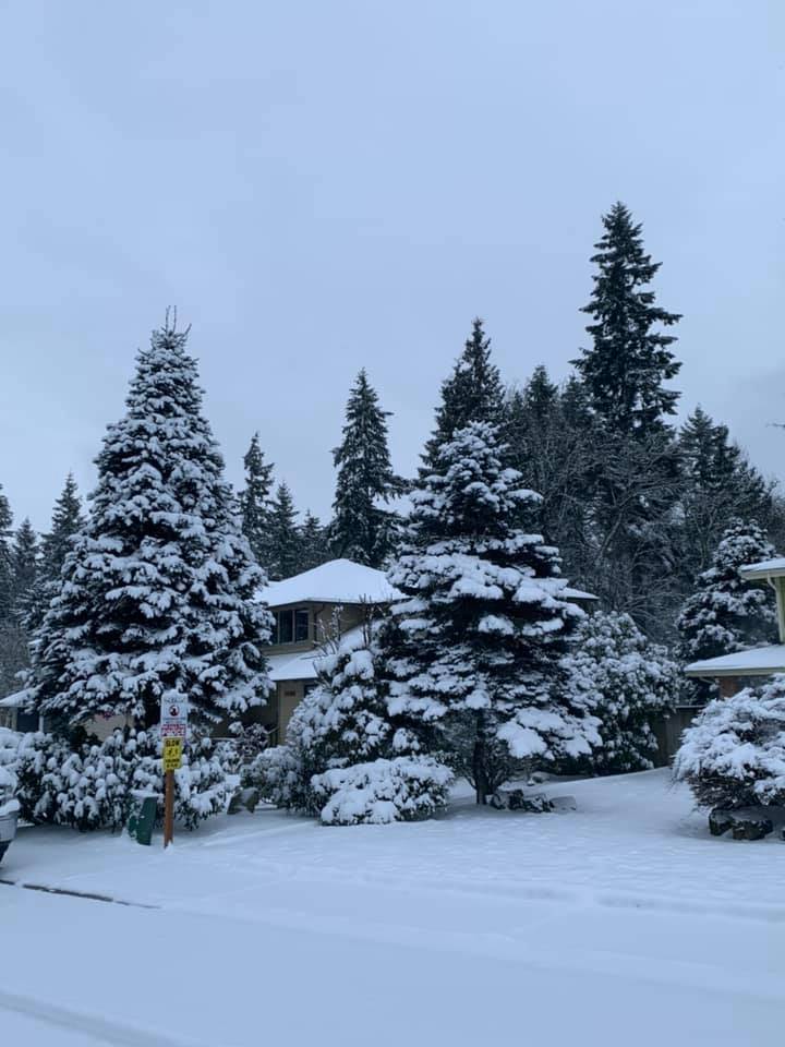 Submitted photo by Shannon Kessler-Phillips