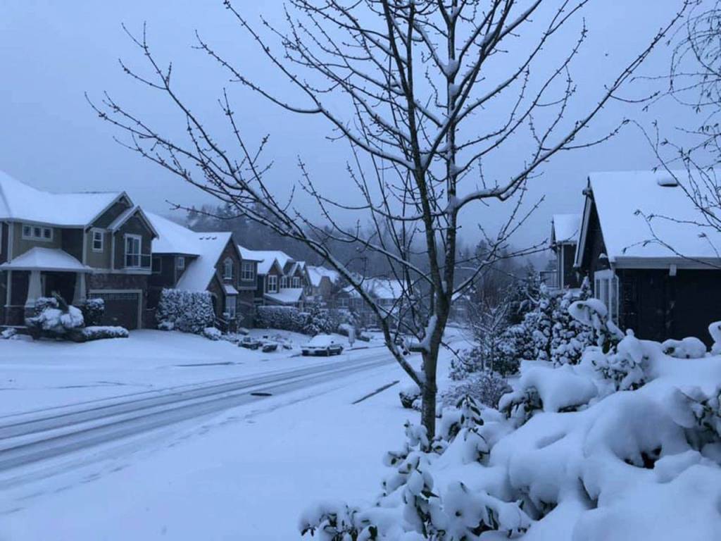 Submitted photo by Silke Prelog