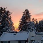 Submitted photo by Valentina Avanesov