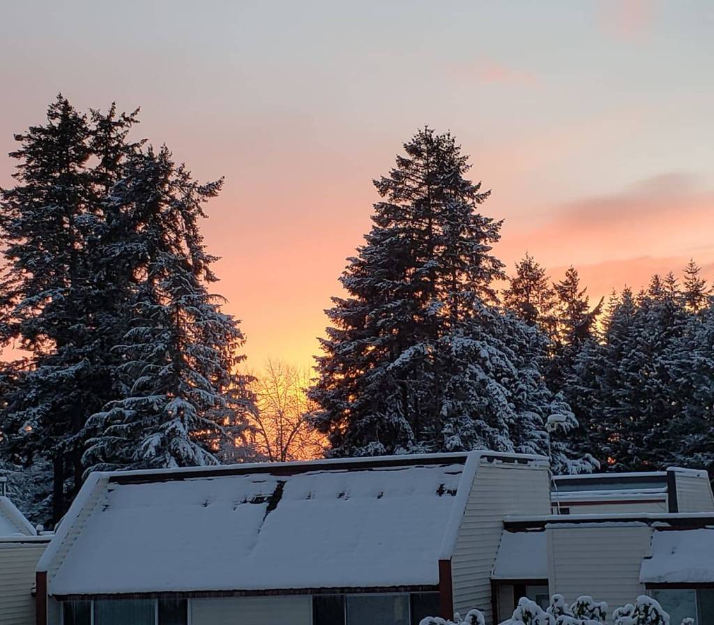 Submitted photo by Valentina Avanesov