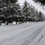 Submitted photo by Valentina Avanesov