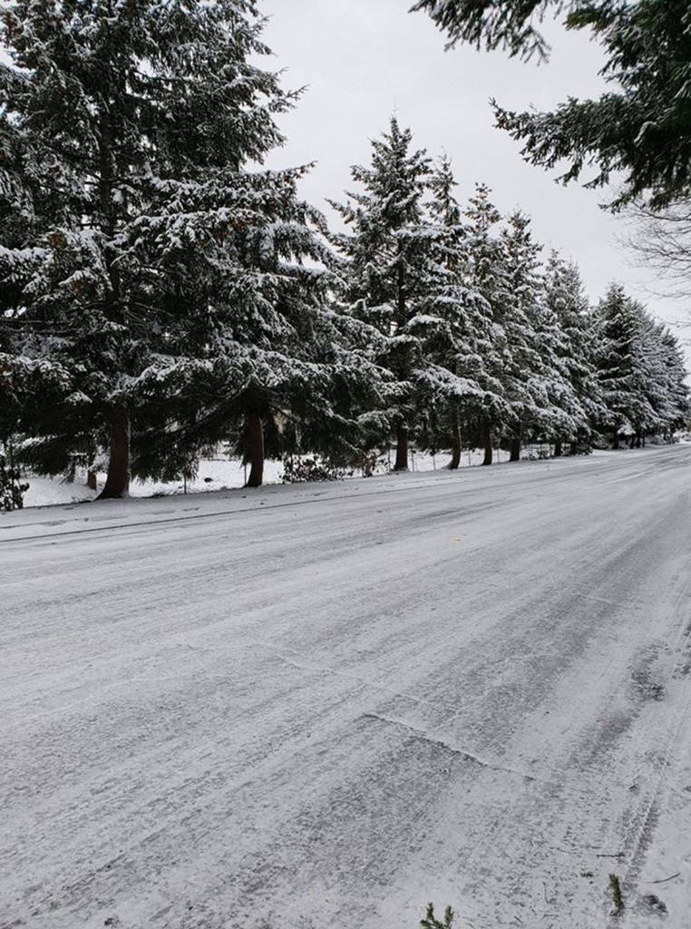 Submitted photo by Valentina Avanesov