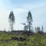 A wildfire near Darrington in 2017. Photo courtesy of Northwest Washington Incident Management Team