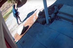 Skyway family uses AI security system to stop potential intruder