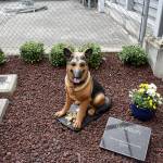 Guardian, a concrete statue that was moved and restored for the new King County Sheriffs Office K9 memorial by Deputy Mick DOrazio, is a reminder of the work that service dogs have been doing as far back as 1977. Photo by Haley Ausbun