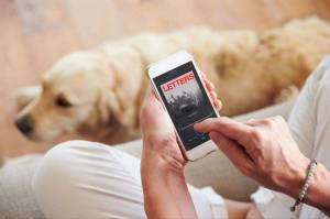 King County and my grassy lawn