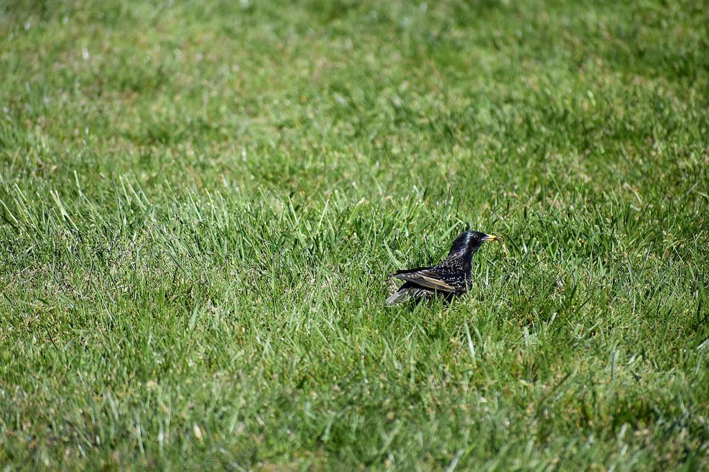 Cedar River Trail rewards little hikers