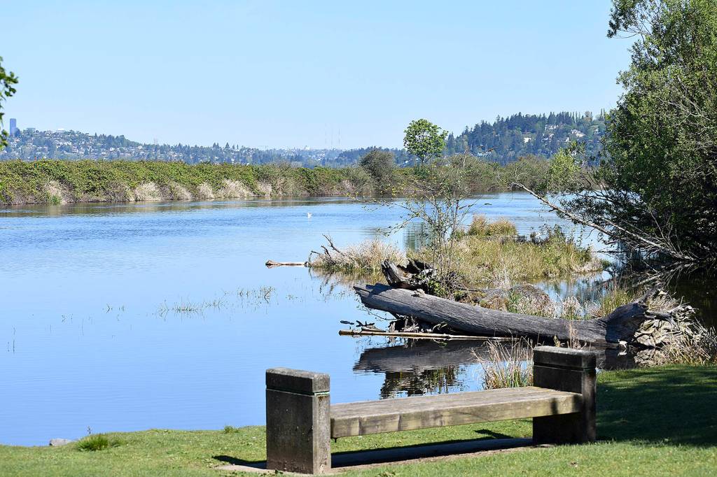 Cedar River Trail in Renton will be the first in the state to join the TRACK program, which encourages youth to use local trails and appreciate the outdoors. Photo by Haley Ausbun