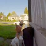 This image from a video shows an April 24 attack on a Chihuahua-dachshund mix in Renton. Courtesy image