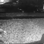 This image from a video shows an April 24 attack on a Chihuahua-dachshund mix in Renton. Courtesy image