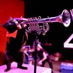 Courtesy photo Amazing Animals.