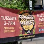 Sunny days for the Renton Farmers Market