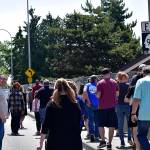 Photo by Haley Ausbun. Attendees of the Sunset fence dedication on June 9, walk along the 800 feet of art.