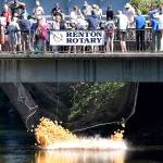 Photo by Haley Ausbun.                                 Renton River Days 2019.