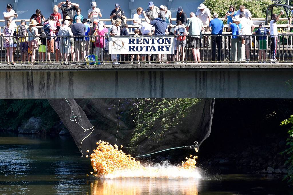 Photo by Haley Ausbun.                                 Renton River Days 2019.