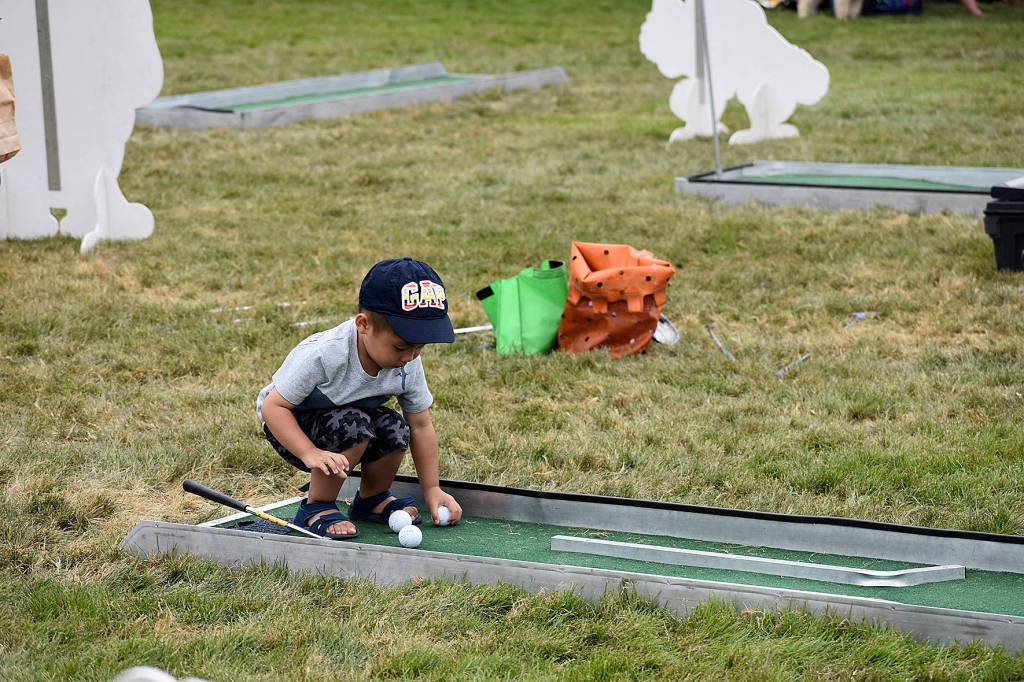 Photo by Haley Ausbun.                                 Renton River Days 2019.
