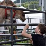 Photo by Haley Ausbun.                                 Renton River Days 2019.