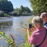 Photo by Andre Osorio. Renton River Days 2019.