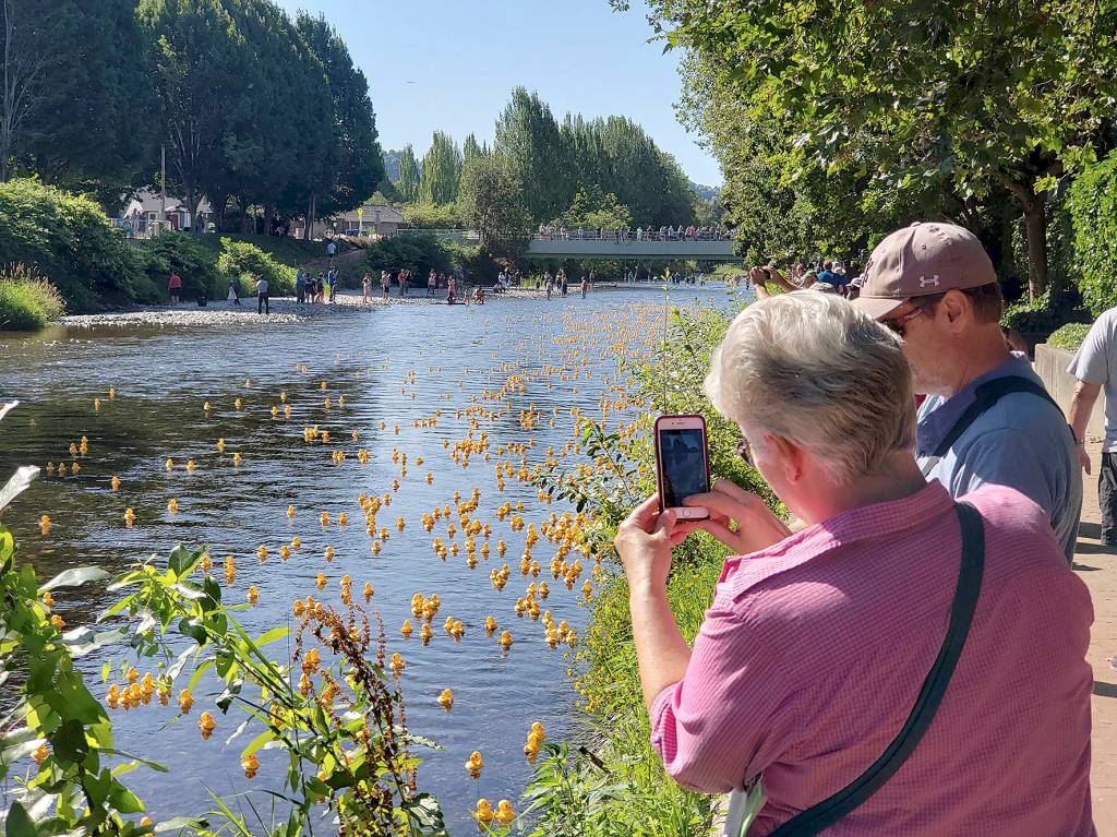 Photo by Andre Osorio. Renton River Days 2019.