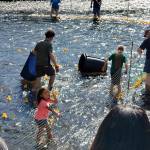 Photo by Andre Osorio. Renton River Days 2019.