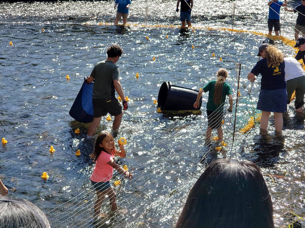 Photo by Andre Osorio. Renton River Days 2019.