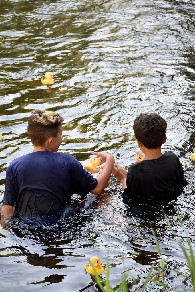 Photo by Haley Ausbun.                                 Renton River Days 2019.