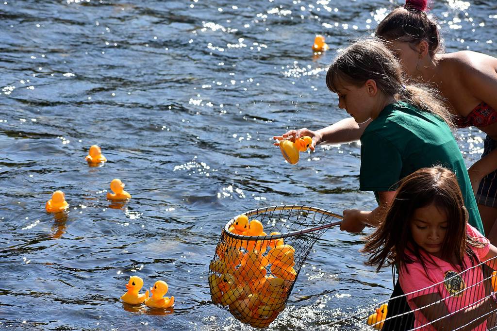 Photo by Haley Ausbun.                                 Renton River Days 2019.