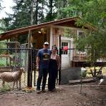 Photos by Haley Ausbun. The BackYardFarm, a local couple trying to help folks with small yards build their own farm, hosted an event July 27, where guests could meet the animals, feed the goats and eat food sourced from their own back yard.