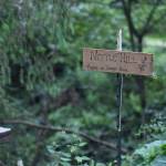 Photos by Haley Ausbun. The BackYardFarm, a local couple trying to help folks with small yards build their own farm, hosted an event July 27, where guests could meet the animals, feed the goats and eat food sourced from their own back yard.