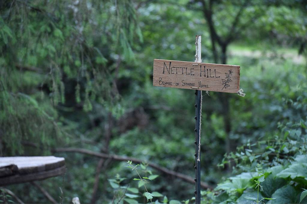 Photos by Haley Ausbun. The BackYardFarm, a local couple trying to help folks with small yards build their own farm, hosted an event July 27, where guests could meet the animals, feed the goats and eat food sourced from their own back yard.