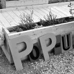 A new, temporary Pop-up Park gave Renton residents visiting the local farmers market a place to rest, or play, for a short-time.                                Photo by Haley Ausbun.
